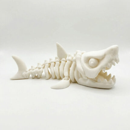 Fóssil Megalodonte Articulado Colecionável 16cm